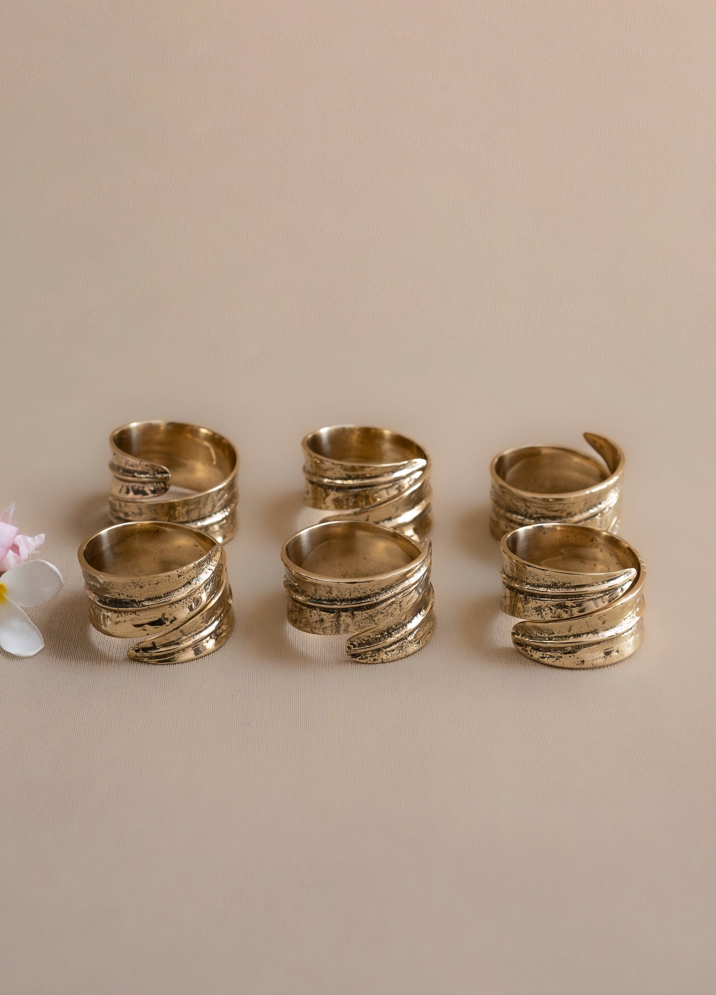 Napkin Rings Set