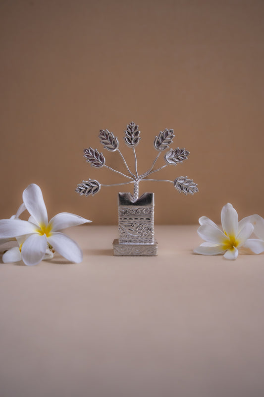 Auspicious Tulsi Plant - Pitaltamba