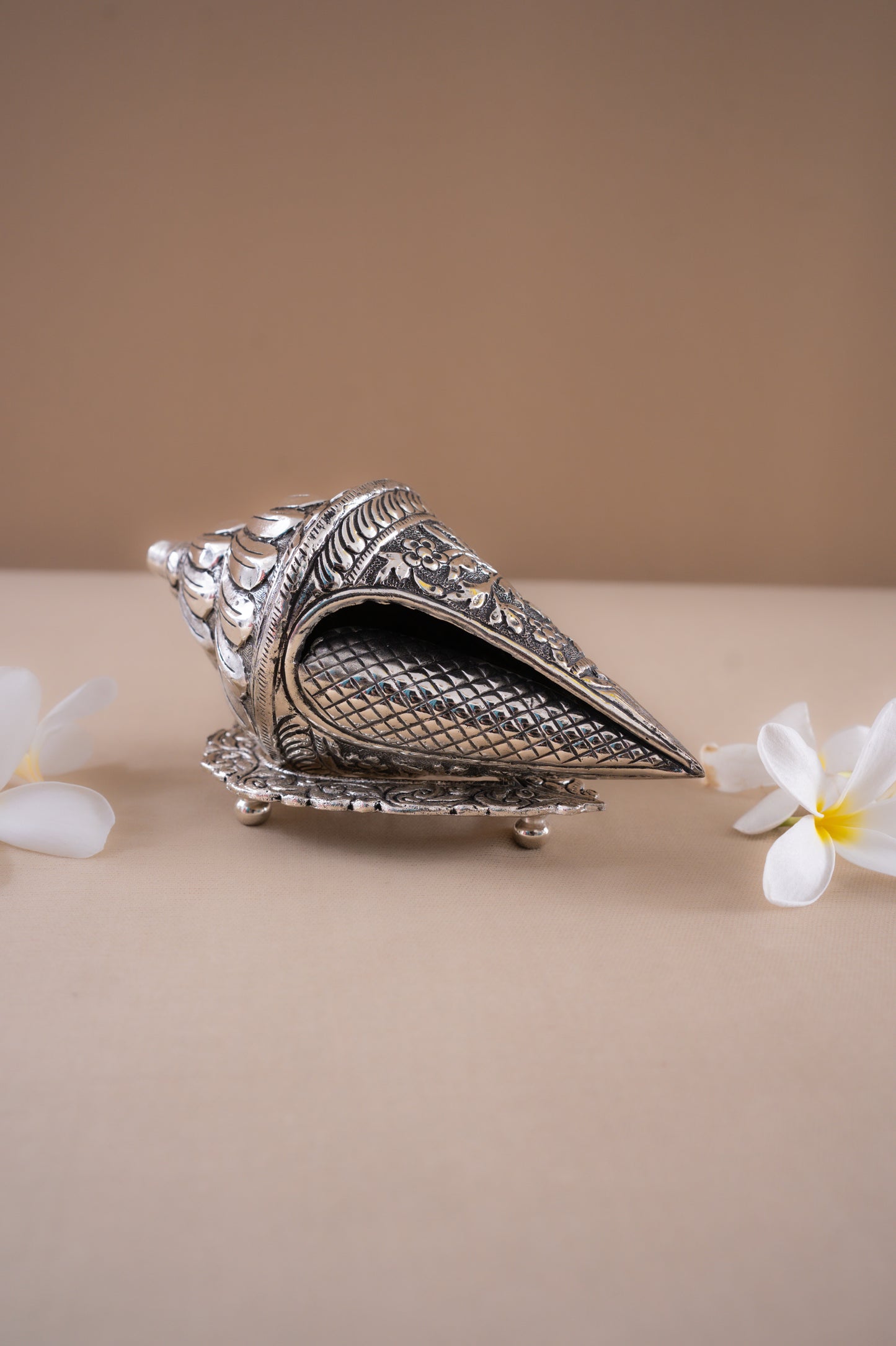Shankh with fine plate
