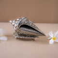Shankh with fine plate