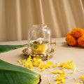Akhand Diya With Adjustable Wick And  Borocilate Glass - Pitaltamba