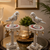 Decorative parrot statues on stands with a candle and plant in the background