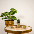 Dinner Set / Mukhwaas Set