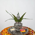 Haldi Platter With Mangal Kalash