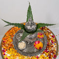 Haldi Platter With Mangal Kalash