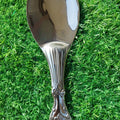 Ladle - Rice Serve Spoon