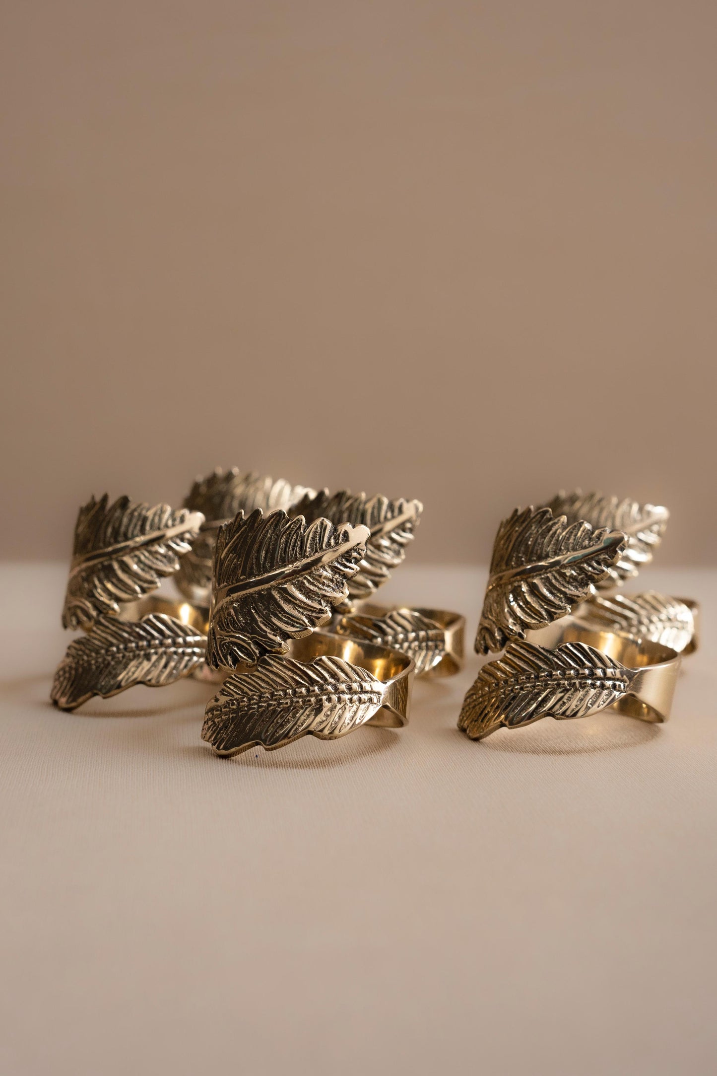 Napkin Rings Set