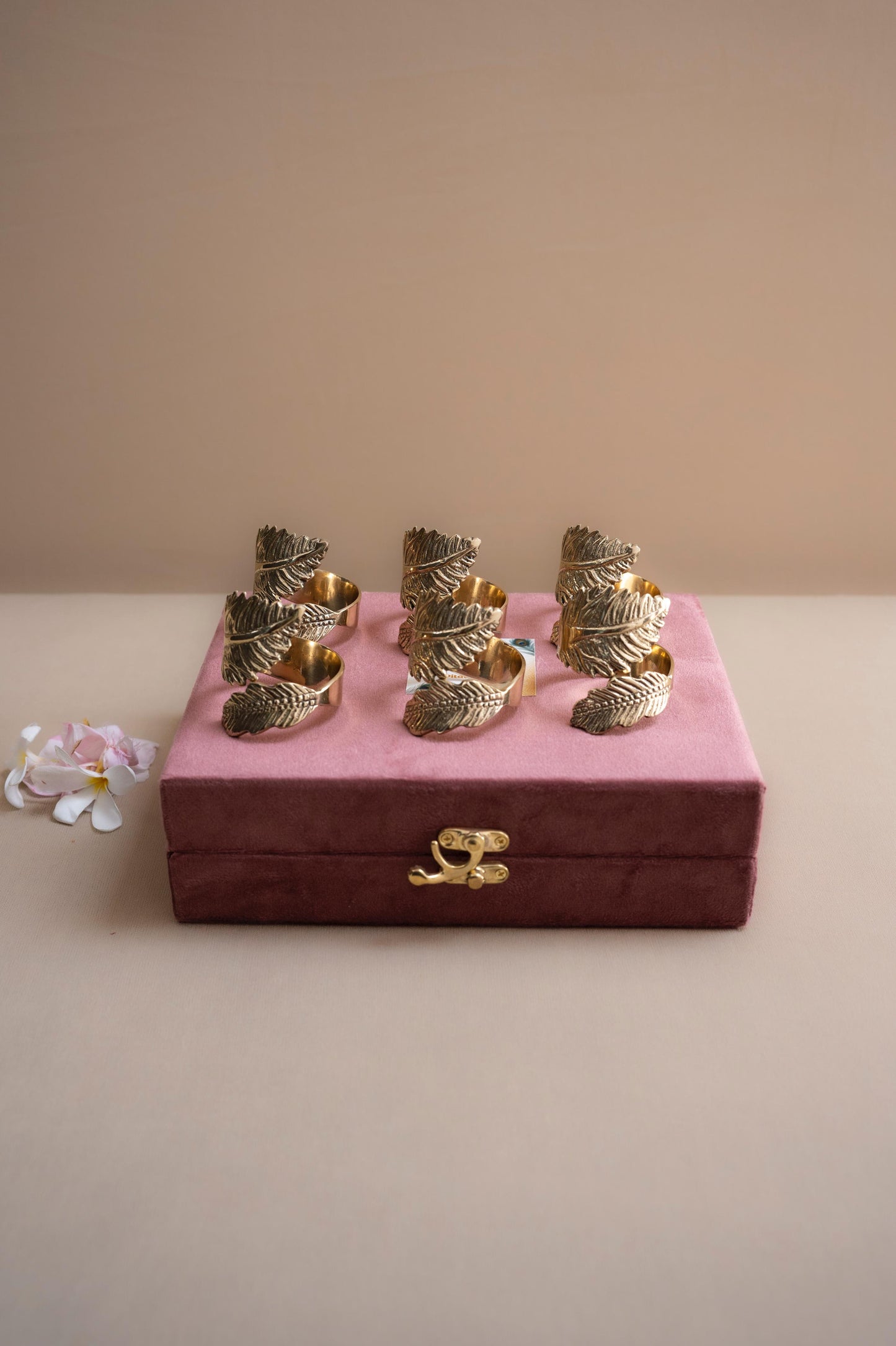 Napkin Rings Set