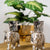 Elephant Tea Light Holder