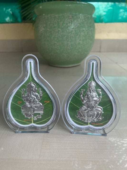 Two silver figurines in clear plastic cases on a light surface with a green pot in the background.
