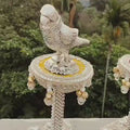 Beautiful Parrot Decors