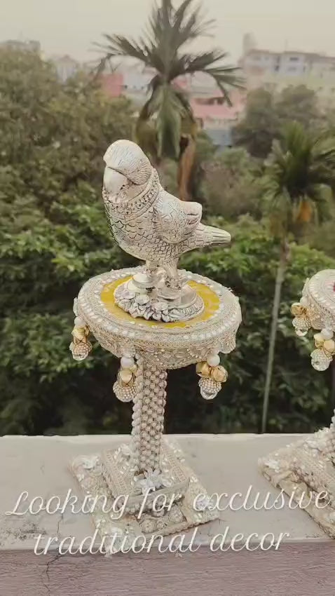 Beautiful Parrot Decors